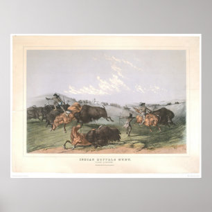 Indian Buffalo Hunt: "Nah Quarters" (0743A) Poster
