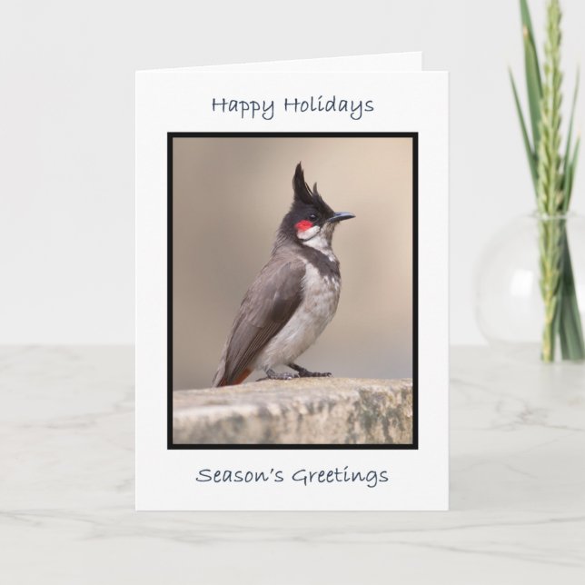 Indian Bulbul Karte (Vorderseite)