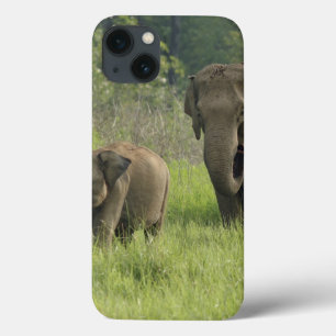 Indian Elephant Family Case-Mate iPhone Hülle