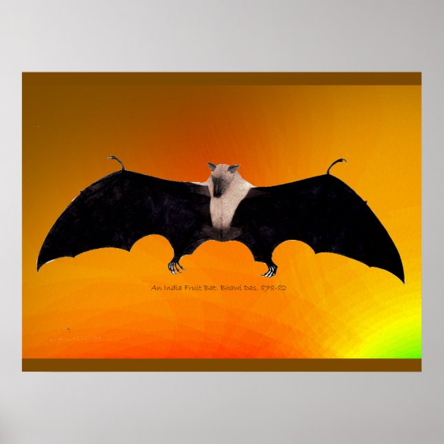 Indian Fruit Bat Poster (Vorne)