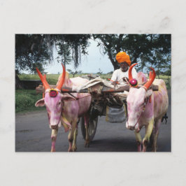 Indian Man Postcard Postkarte