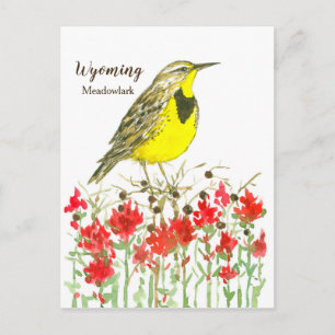 Indian Paintbrush Meadowlark Staat Bird of Wyoming Postkarte