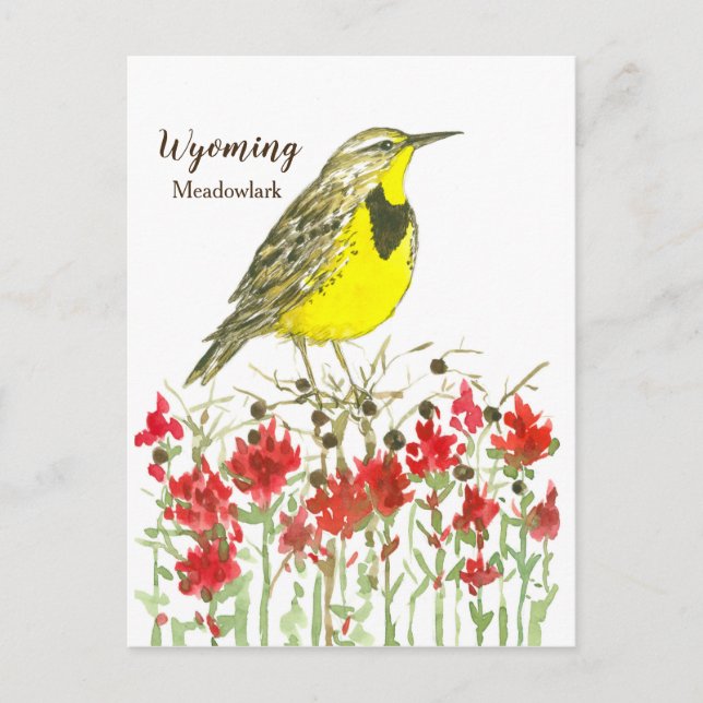 Indian Paintbrush Meadowlark Staat Bird of Wyoming Postkarte (Vorderseite)