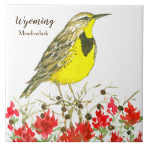 Indian Paintbrush Meadowlark Wyoming Souvenir Fliese
