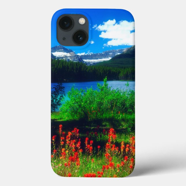 Indian Paintbrush Wildflowers Case-Mate iPhone Hülle (Rückseite)