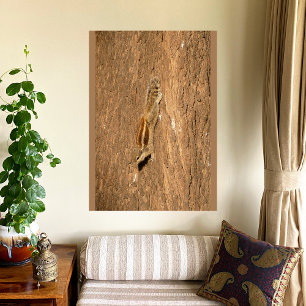Indian Palm Eichhörnchen auf einem Baumstamm Leinwanddruck