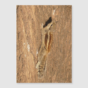 Indian Palm Eichhörnchen auf einem Baumstamm Magnetkarte