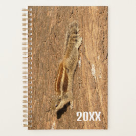 Indian Palm Eichhörnchen auf einem Baumstamm Planer