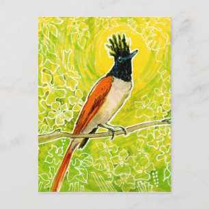Indian Paradise Flycatcher Tropical Bird Zeichnend Postkarte