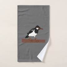 Indian Pied Myna Bird Art