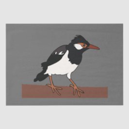 Indian Pied Myna Bird Art Seidenpapier