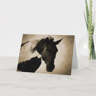 Indian Pony Greeting Card Karte