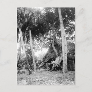 Indian River, Florida Erreichbarkeit: 1890er Postkarte