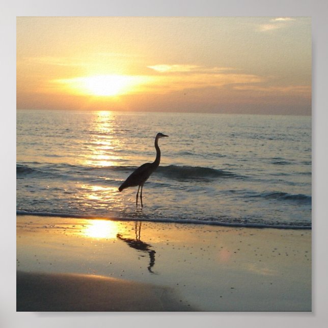 Indian Rocks Beach Florida Sunset Crane Poster (Vorne)