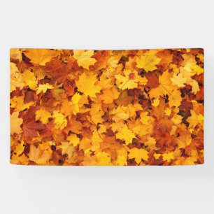 Indian Summer Golden Blätter Banner