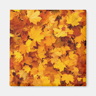 Indian Summer Golden Blätter Magnet