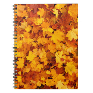 Indian Summer Golden Blätter Notizblock