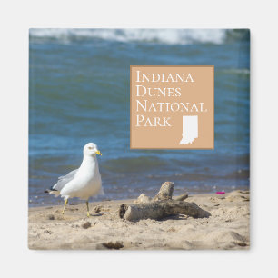 Indiana Dunes National Park Geschenk Magnet