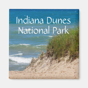 Indiana Dunes Nationalpark Souvenir Magnet