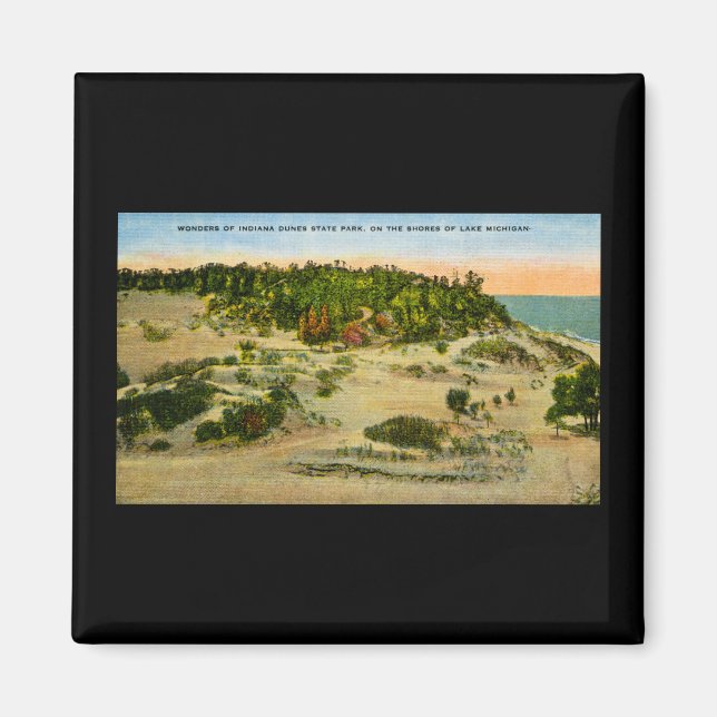 Indiana Dunes Staat Park Lake Michigan, Indiana Magnet (Vorne)