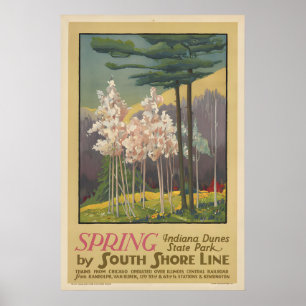 Indiana Dunes State Park Vintage Frühling Reise Poster