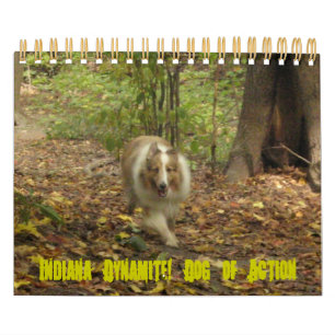 Indiana Dynamite! Aktionskalender Kalender