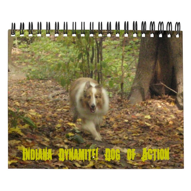 Indiana Dynamite! Aktionskalender Kalender (Titelbild)