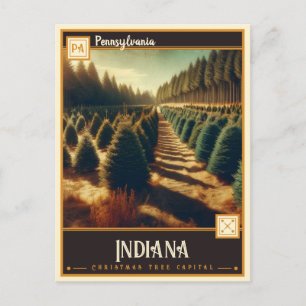 Indiana, Pennsylvania   VINTAG Postkarte