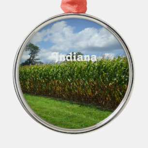 Indiana Silbernes Ornament