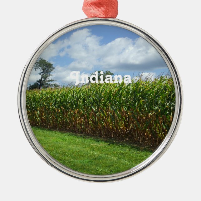 Indiana Silbernes Ornament (Vorne)