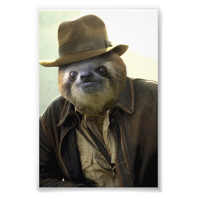 Indiana Sloth Fotodruck (Vorne)