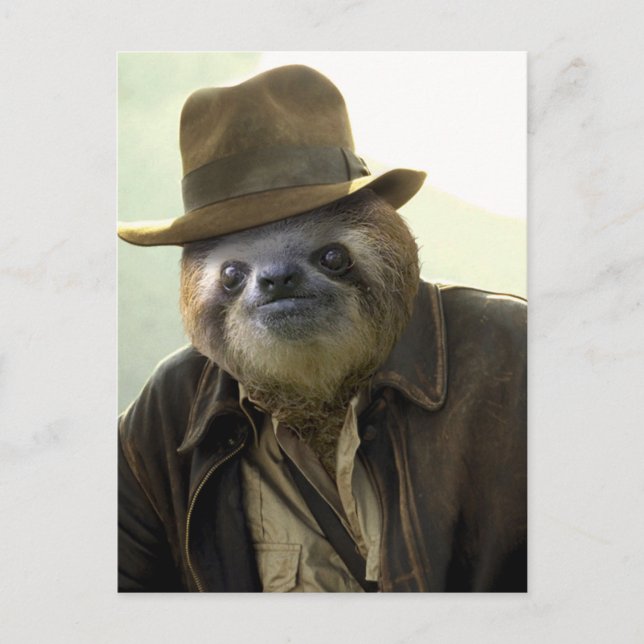 Indiana Sloth Postkarte (Vorderseite)
