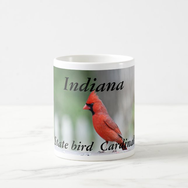 Indiana-Staatsvogel-Foto-Tasse Tasse (Mittel)