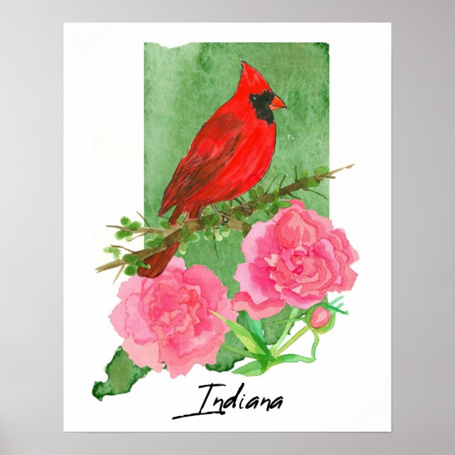 Indiana State Shape Hoosiers Kardinal-Pfingstrosen Poster (Vorne)