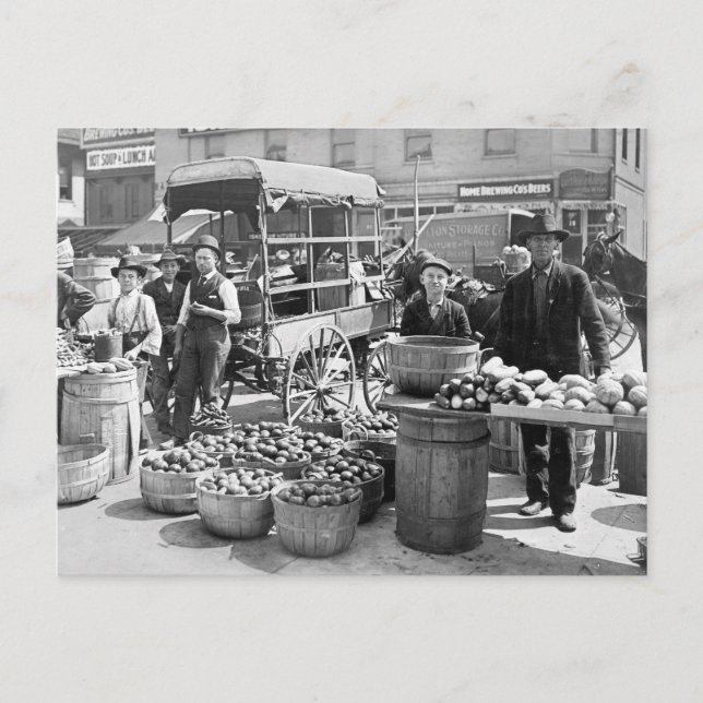 Indianapolis Pflanzenmarkt, 1908 Postkarte (Vorderseite)