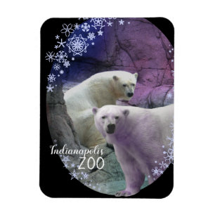 Indianapolis Zoo Polar Bear Snowflakes Magnet