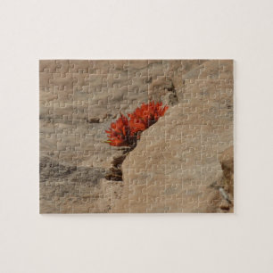 Indianer-Pinselschildblume in Felsen in Zion Puzzle