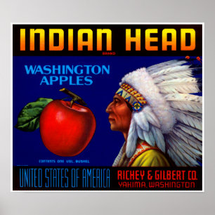 Indianer Poster
