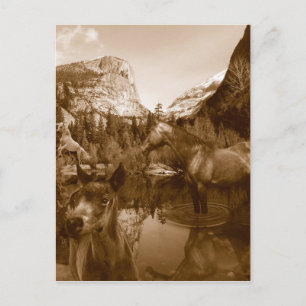 Indianer Postkarte