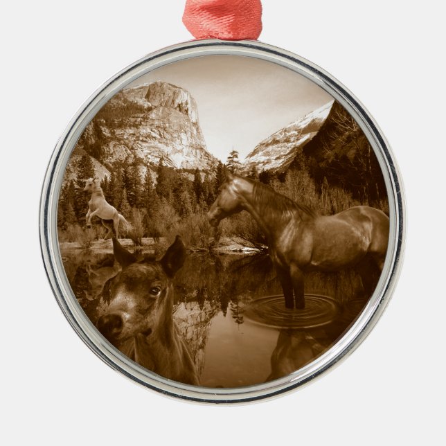 Indianer Silbernes Ornament (Vorne)
