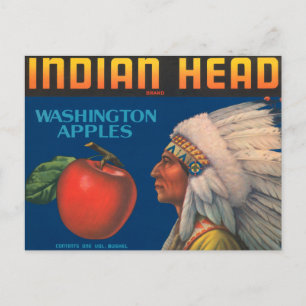 Indianerkopf Postkarte