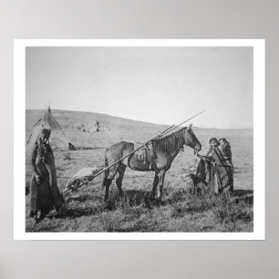 Indianerkrebse aus Western Kanada, c.1 Poster