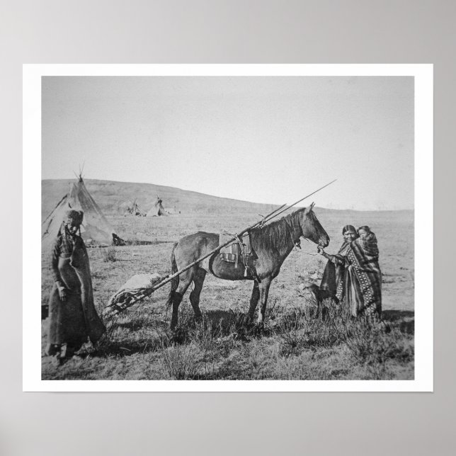 Indianerkrebse aus Western Kanada, c.1 Poster (Vorne)