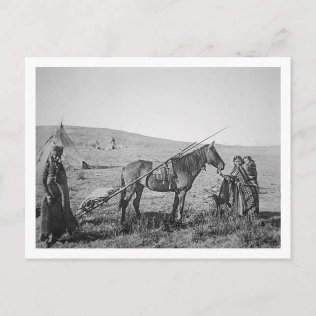 Indianerkrebse aus Western Kanada, c.1 Postkarte (Vorderseite)