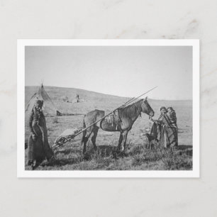 Indianerkrebse aus Western Kanada, c.1 Postkarte