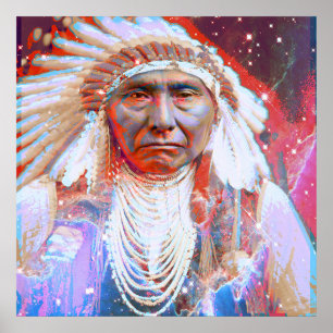 Indianerpferd Poster