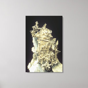 Indianersilber (Ag) auf Kalkstein, Kanada Leinwanddruck