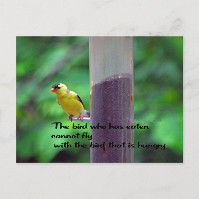 Indianersprichwort Postkarte (Vorderseite)