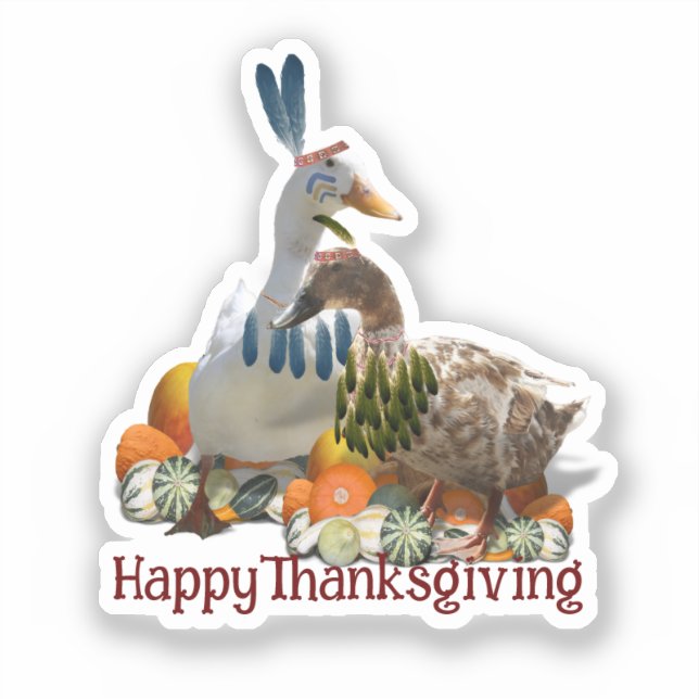 Indianische Enten Thanksgiving  Aufkleber (Vorderseite)