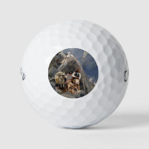 Indianische Ikonen: Apache Krieger, US-Kavallerie Golfball